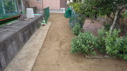 IMGP0156