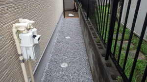 IMGP0779