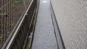 IMGP0703