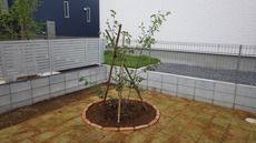 IMGP0102