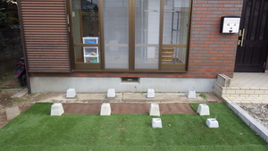 IMGP0619