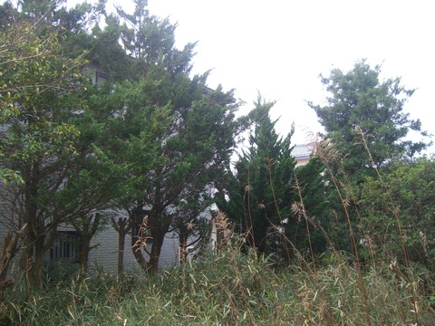 CIMG1494