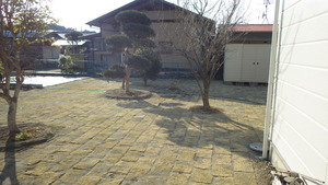 IMGP0653