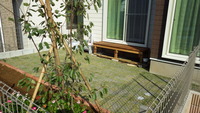 IMGP0207