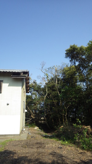 IMGP0725