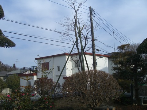 CIMG1459