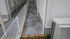 IMGP0792