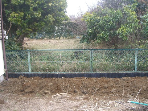 CIMG1401