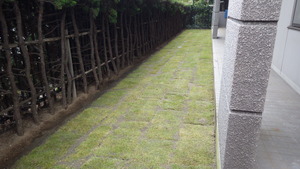 IMGP0573