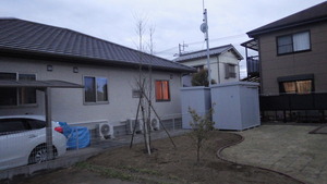 IMGP0682