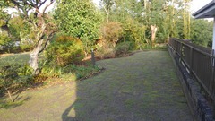 KIMG0089