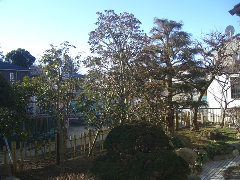 CIMG1457