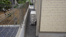 IMGP0103