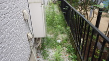 IMGP0144