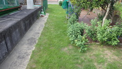 IMGP0152