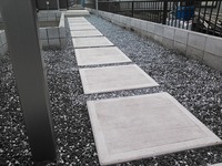 NCM_0418
