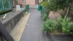 IMGP0157