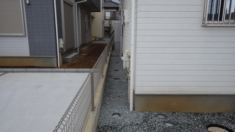 IMGP0020