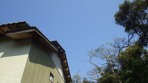 IMGP0723