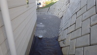 IMGP0206