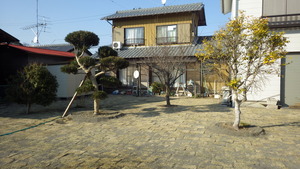IMGP0654