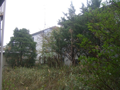 CIMG1495