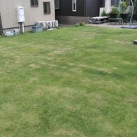 茂原市の芝生管理