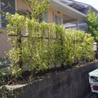 千葉市の庭リフォーム